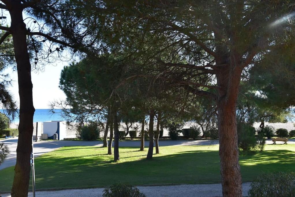 Le Byblos 9 - Vue Mer - Climatisation Plage d'Argeles Екстер'єр фото